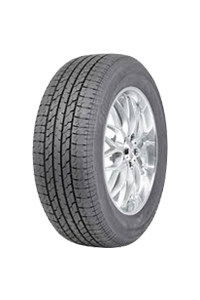 BRIDGESTONE D33